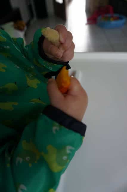 Beikoststart mit Obst und Gemüse von breifreibaby