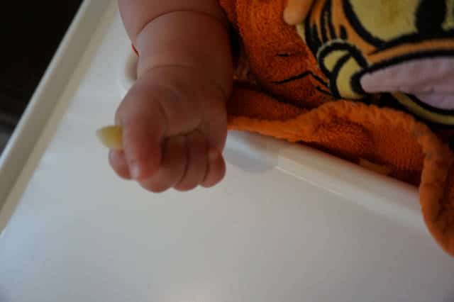 Beikoststart mit Obst von breifreibaby