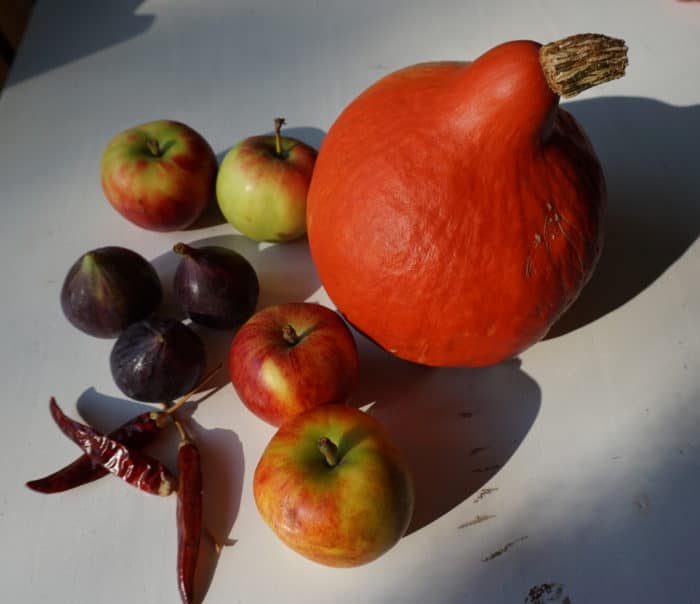 Zutaten_breifreibaby