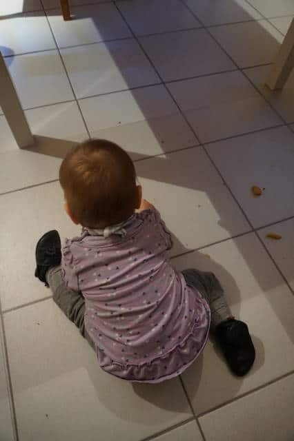 breifreibaby sammelt die Reste Apfelmus-Haferflocken-Kekse auf