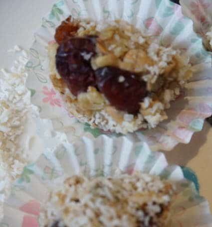 leckere Stillkugeln mit Kokosflocken und Cranberrys von breifreibaby