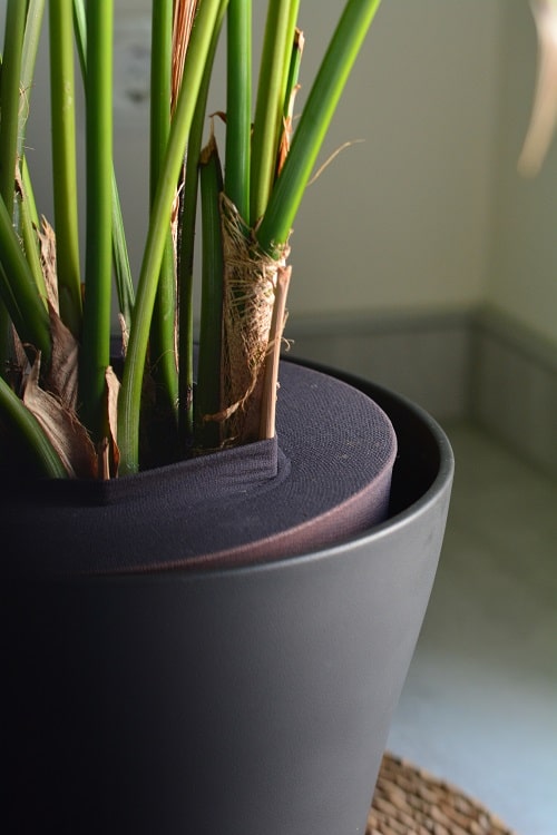 Pflanzen kindersicher machen