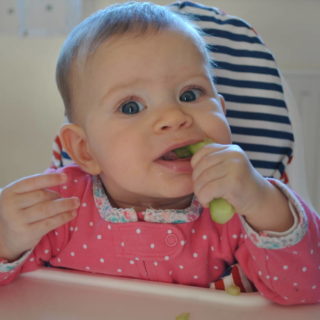 Beikost breifrei - Erfahrungen von Barbara auf breifreibaby