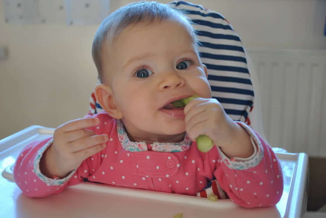 Beikost breifrei - Erfahrungen von Barbara auf breifreibaby