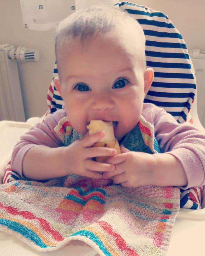 Beikost breifrei statt Breikost auf breifreibaby.de