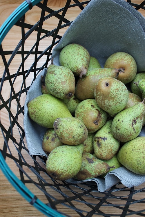 Einsteiger Obst baby-led weaning