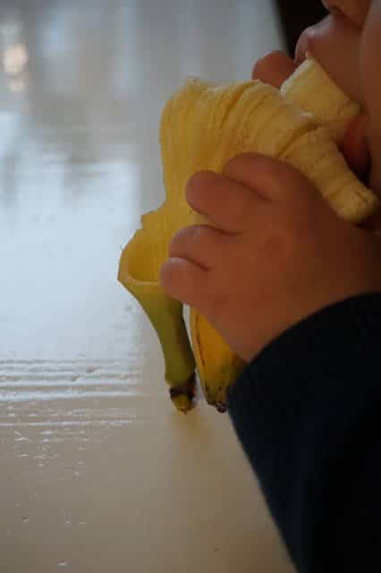 Einsteiger Obst baby-led weaning - alles was du wissen musst auf breifreibaby.de