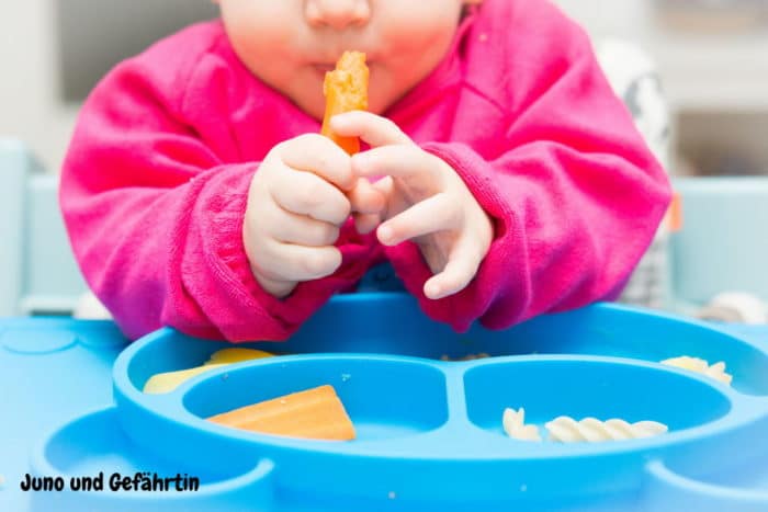 breifrei zur Beikost - Erfahrungsberichte zu baby-led weaning