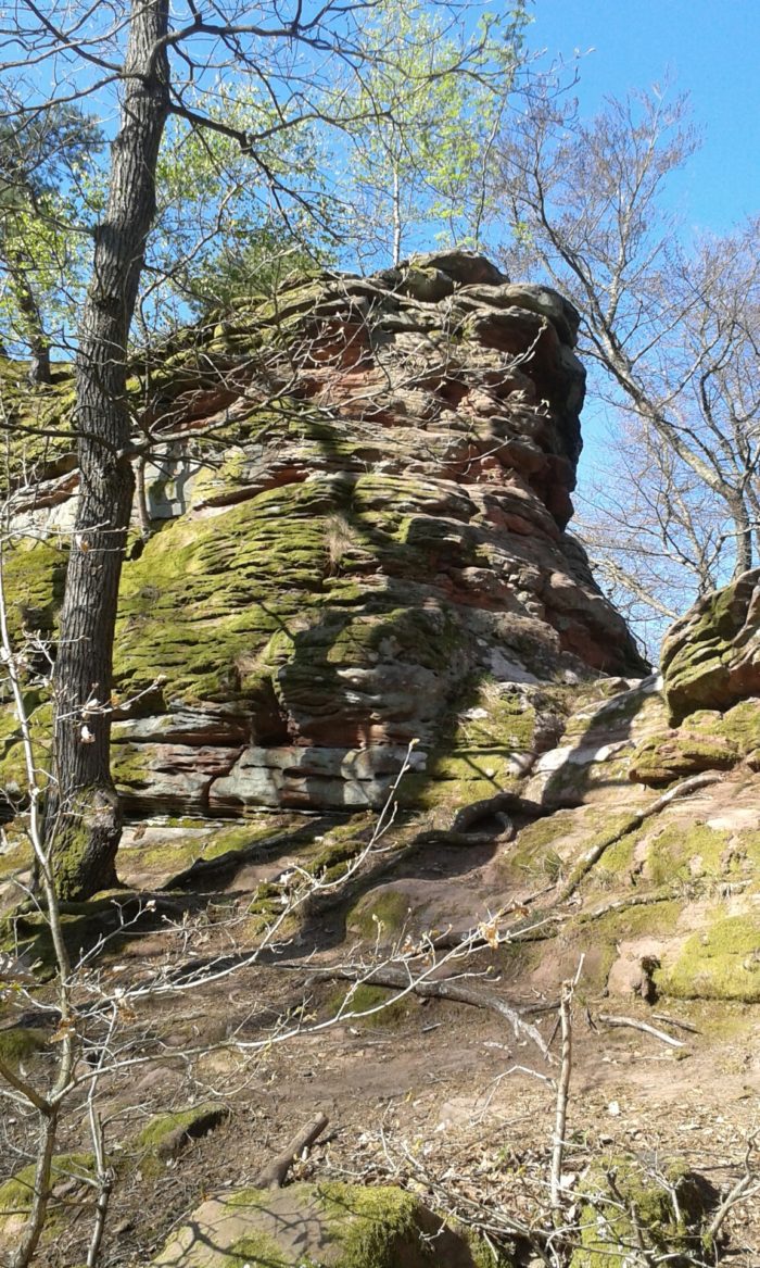 Kletterfelsen von Sandra Schindler, Autorin von "Der kleine Milchvampir"