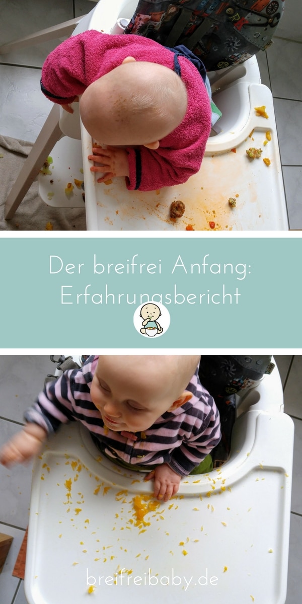 breifrei Anfang - blw und breifrei als Beikost fürs Baby