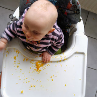 Baby Rezepte und BLW Ideen - der breifrei Anfang