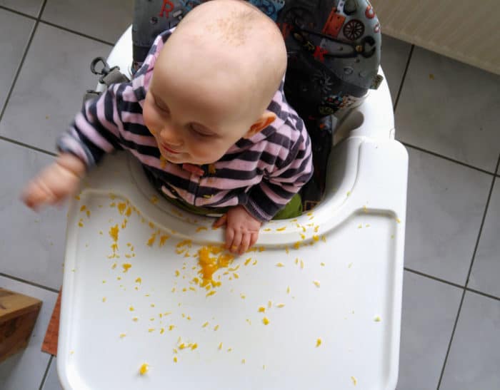 Baby Rezepte und BLW Ideen - der breifrei Anfang