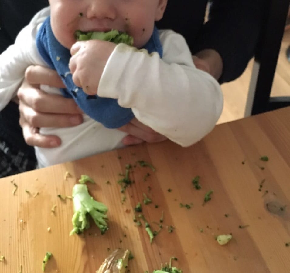 Beikost ohne Brei - so leicht ist breifrei. Wir geben Tipps für Baby led weaning