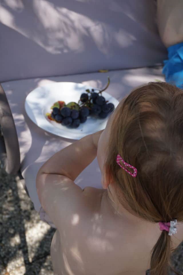 BLW Rezepte - Warum BLW