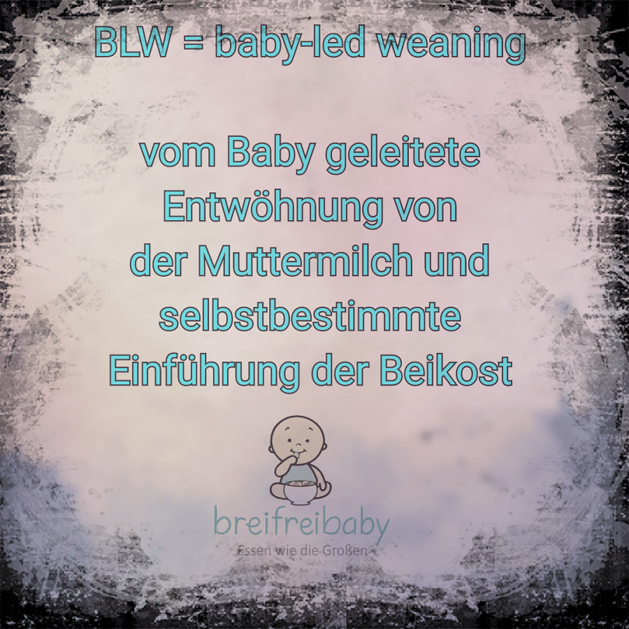 Wir erklären, was baby-led weaning bedeutet - breifrei und BLW Infos