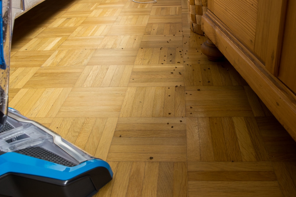 breifrei putzen und baby-led weaning sauber machen - wir zeigen wie leicht es ist mit dem Bissell Crosswave 3 in 1