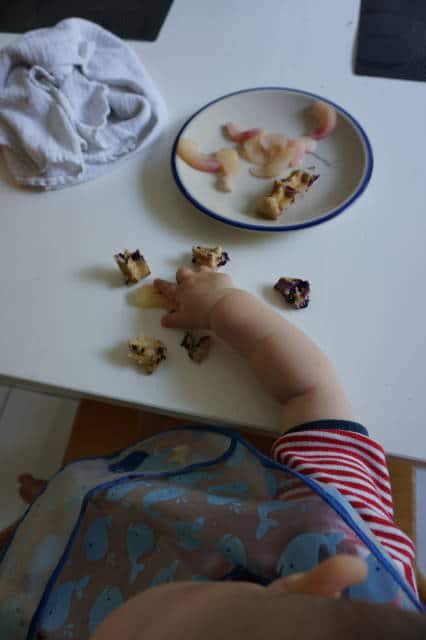 baby-led weaning - wie oft am Tag Essen anbieten?