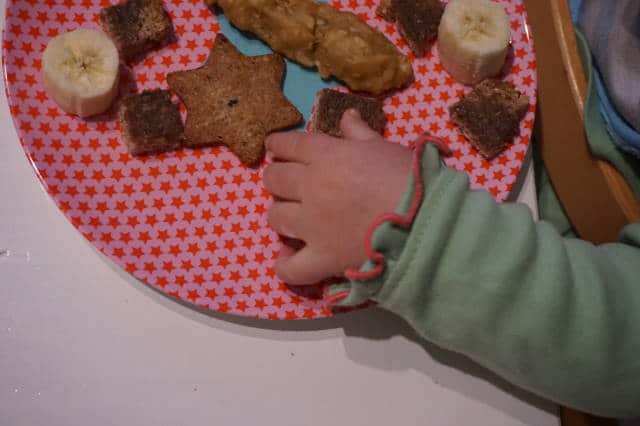 baby-led weaning - wie oft am Tag Essen anbieten?