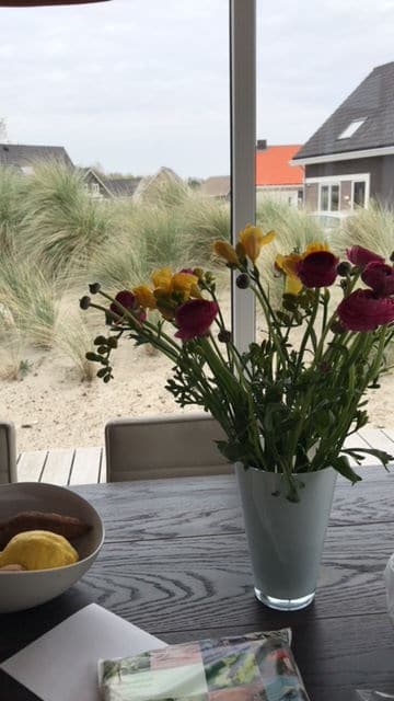 Blumenstrauß in pink und gelb auf Holztisch im Holland Ferienhause - unser Familienurlaub n Südholland