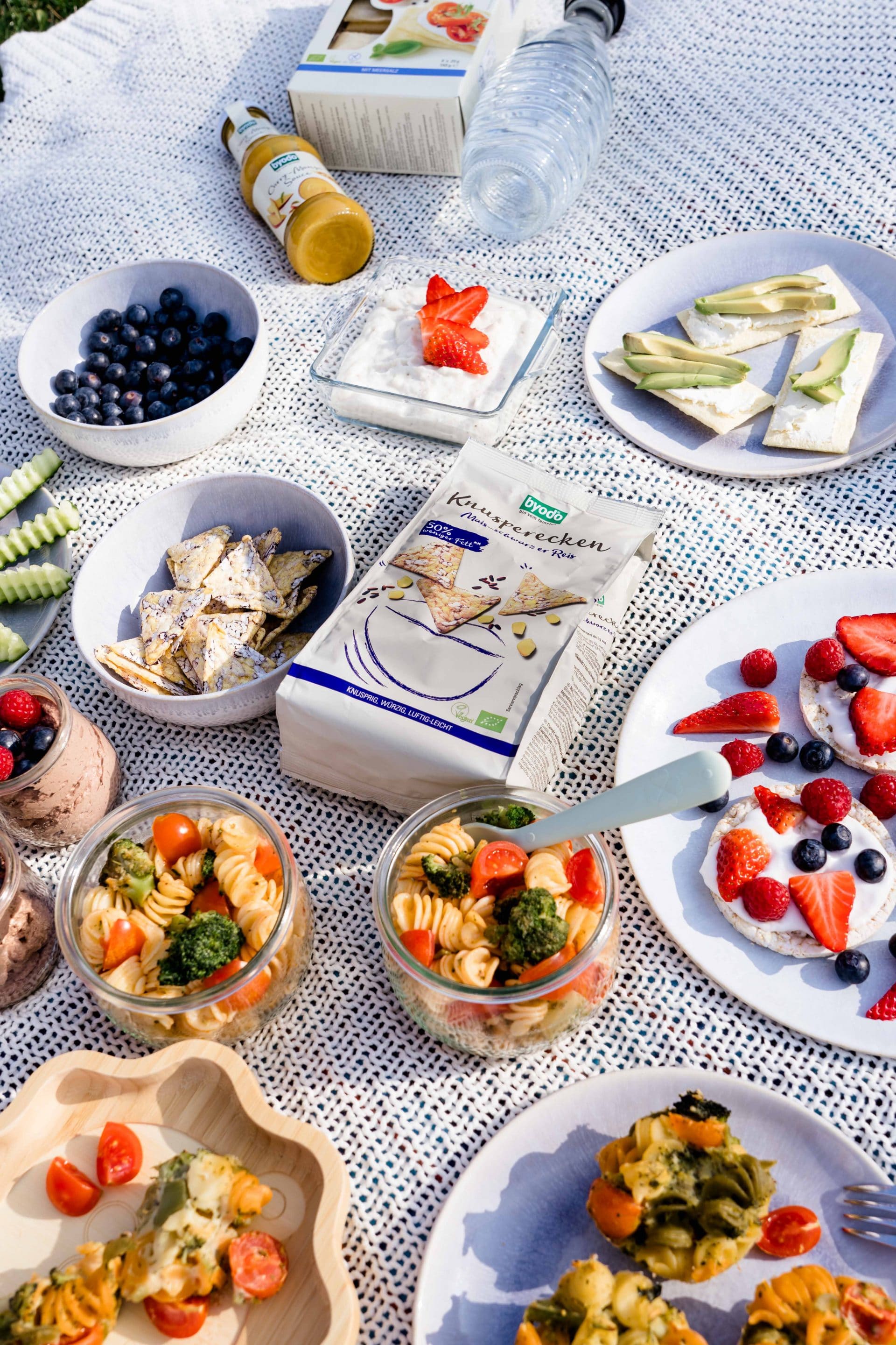 Picknick mit Baby einfache Ideen