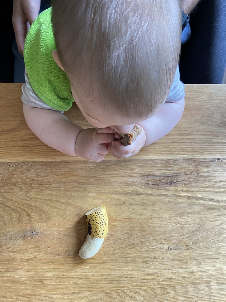 Bei BLW wir das Essen mit allen Sinnen entdeckt